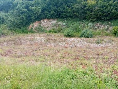 /international/fr/grainville-la-teinturiere-upper-normandy-310100141926/