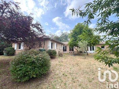 /international/fr/saint-pierre-du-mont-burgundy-310101280262/