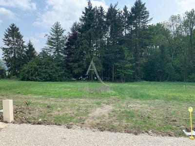 /international/fr/les-bois-de-saint-bohaire-saint-bohaire-centre-val-de-loire-310105944106/