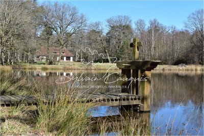 /international/fr/lamotte-beuvron-centre-val-de-loire-310106283041/