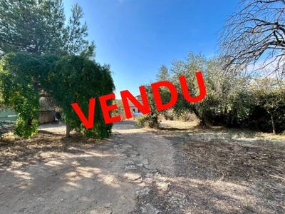 /international/fr/quarante-languedoc-roussillon-310102969341/