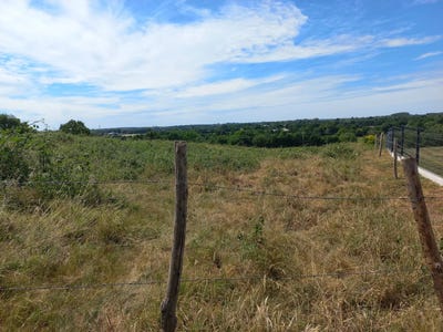 /international/fr/la-garnache-pays-de-la-loire-310097271839/
