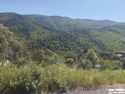 /international/fr/sainte-croix-vallee-francaise-languedoc-roussillon-310107648446/