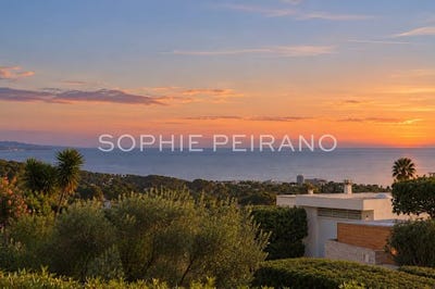 /international/fr/antibes-provence-alpes-cote-d-azur-310120071524/