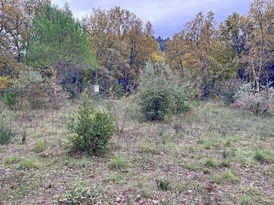 /international/fr/neoules-provence-alpes-cote-d-azur-310101379983/