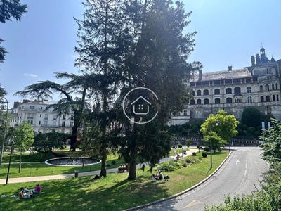 /international/fr/blois-centre-val-de-loire-310100360309/