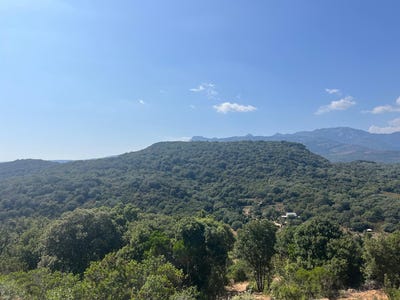 /international/fr/figari-corsica-310107839928/