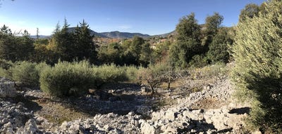 /international/fr/saint-hippolyte-du-fort-languedoc-roussillon-310108315626/
