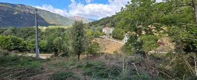 /international/fr/olmiccia-corsica-310105348064/