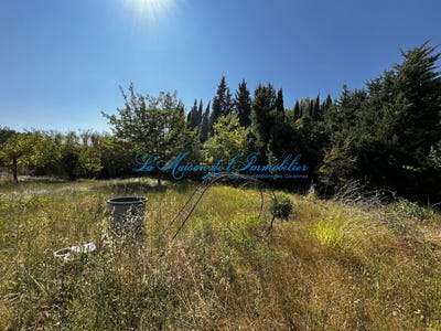 /international/fr/saint-privat-des-vieux-languedoc-roussillon-310119501138/