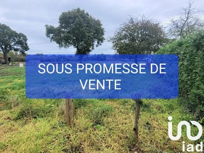 /international/fr/isse-pays-de-la-loire-310095263741/