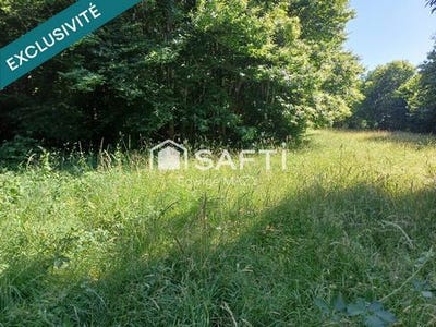 /international/fr/mainsat-limousin-310100460747/