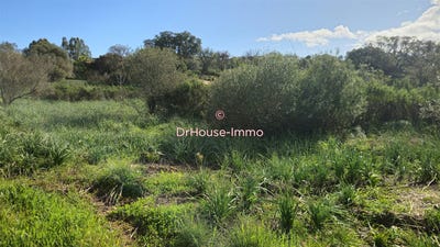 /international/fr/sainte-lucie-de-porto-vecchio-corsica-310109109925/