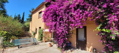 /international/fr/argeles-sur-mer-languedoc-roussillon-310108991462/