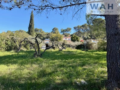 /international/fr/congenies-languedoc-roussillon-310108375906/