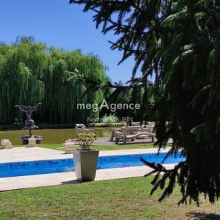 /international/fr/gy-en-sologne-centre-val-de-loire-310108374926/