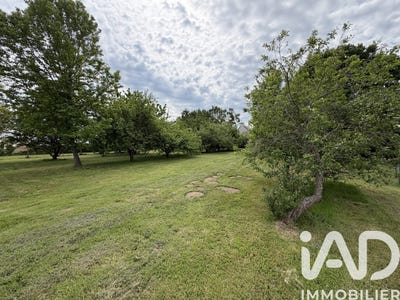 /international/fr/chateauneuf-d-ille-et-vilaine-brittany-310107941545/