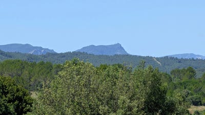 /international/fr/carces-provence-alpes-cote-d-azur-310100735234/