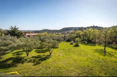 /international/fr/peret-languedoc-roussillon-310107430843/