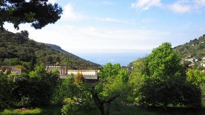 /international/fr/la-turbie-provence-alpes-cote-d-azur-310105373332/