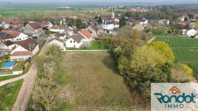 /international/fr/veronnes-burgundy-310107186393/