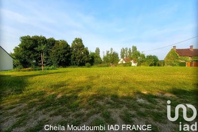 /international/fr/noe-ardennes-310100180008/