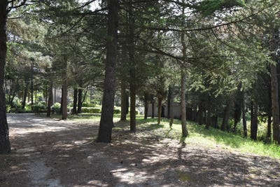 /international/fr/palaja-languedoc-roussillon-310108792265/
