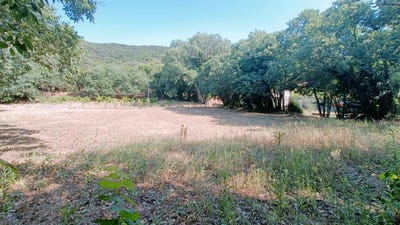 /international/fr/cessenon-sur-orb-languedoc-roussillon-310100961957/