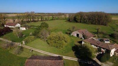 /international/fr/genouille-charente-310106631900/