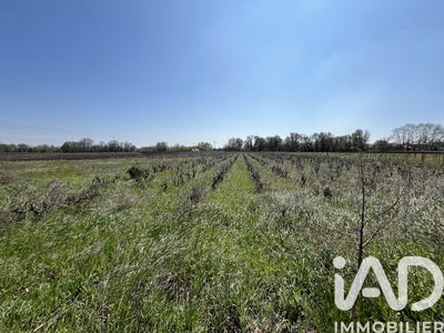 /international/fr/codolet-languedoc-roussillon-310104245153/
