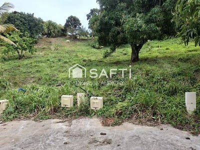 /international/fr/sainte-luce-rhone-310106797441/