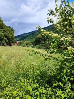 /international/fr/allevard-rhone-310108328482/