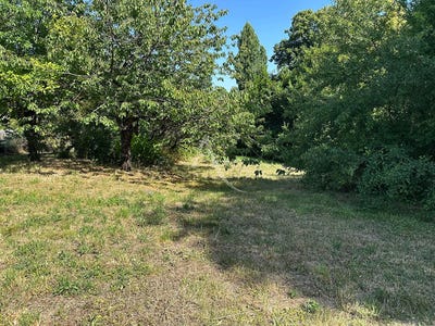 /international/fr/saint-agnant-charente-310108829797/