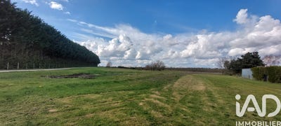 /international/fr/sassay-centre-val-de-loire-310106418927/