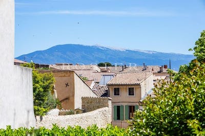 /international/fr/carpentras-provence-alpes-cote-d-azur-310108726675/