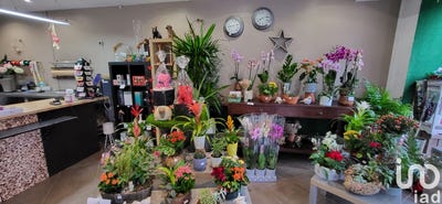 /international/fr/savigny-sur-orge-ile-de-france-310096882073/