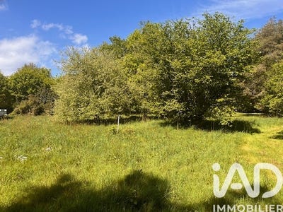 /international/fr/savenay-pays-de-la-loire-310108784491/