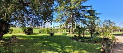 /international/fr/bazas-aquitaine-310101949029/