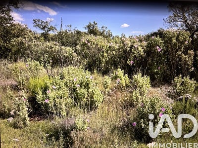 /international/fr/sainte-maxime-provence-alpes-cote-d-azur-310103683422/