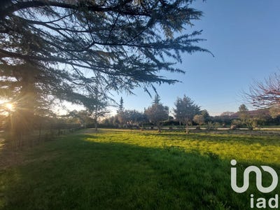 /international/fr/carpentras-provence-alpes-cote-d-azur-310100600643/
