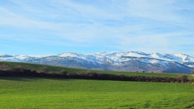 /international/fr/err-languedoc-roussillon-310106881156/