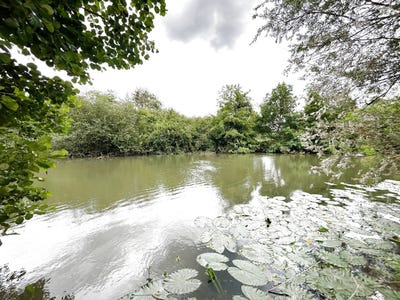 /international/fr/champagne-pays-de-la-loire-310100441065/