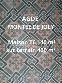 /international/fr/agde-languedoc-roussillon-310101387795/?lang=de