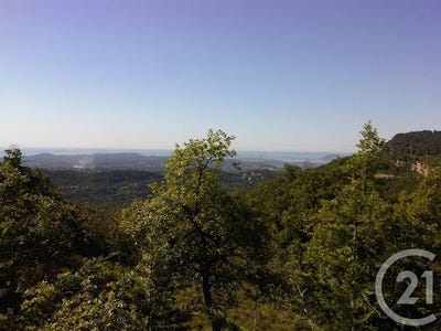 /international/fr/le-bar-sur-loup-provence-alpes-cote-d-azur-310095139742/