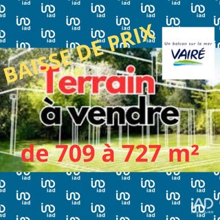 /international/fr/vaire-pays-de-la-loire-310109172424/