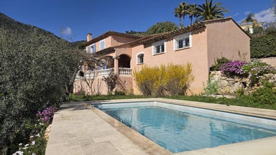 /international/fr/falicon-provence-alpes-cote-d-azur-310099612392/