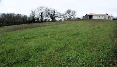 /international/fr/pissotte-pays-de-la-loire-310108704741/