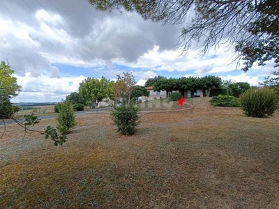 /international/fr/castres-burgundy-310101417627/