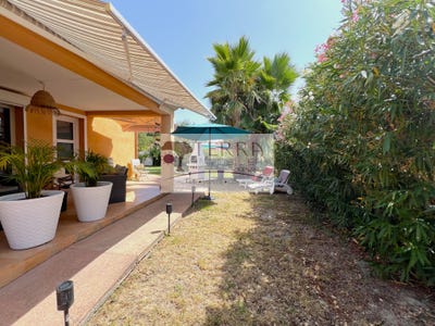 /international/fr/aleria-corsica-310109619057/