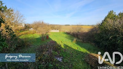 /international/fr/saint-loup-des-vignes-centre-val-de-loire-310104171657/